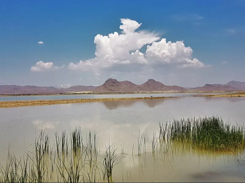 تالاب آق گل ملایر
