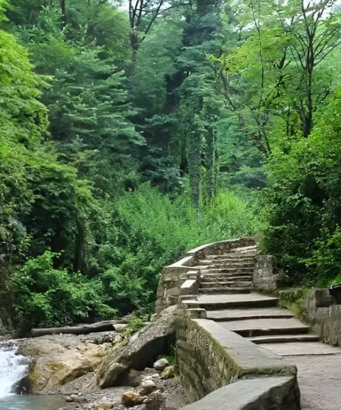 جنگل کبودوال، گلستان