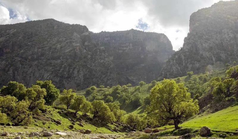 کبیرکوه - تصویر 6