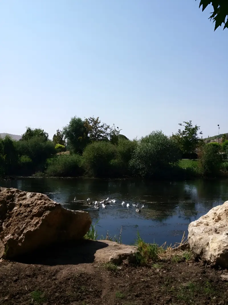 باغ میکاییل (پارک ملت مهاباد) - تصویر 11