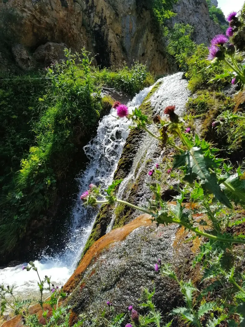 روستای دراسله - تصویر 4