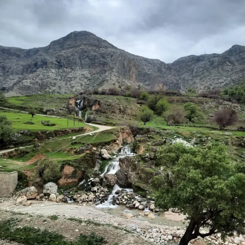 دشت سوسن - تصویر 4