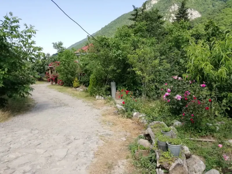 روستای کلیشم - تصویر 3