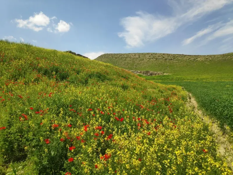 تنگه لارت - تصویر 1
