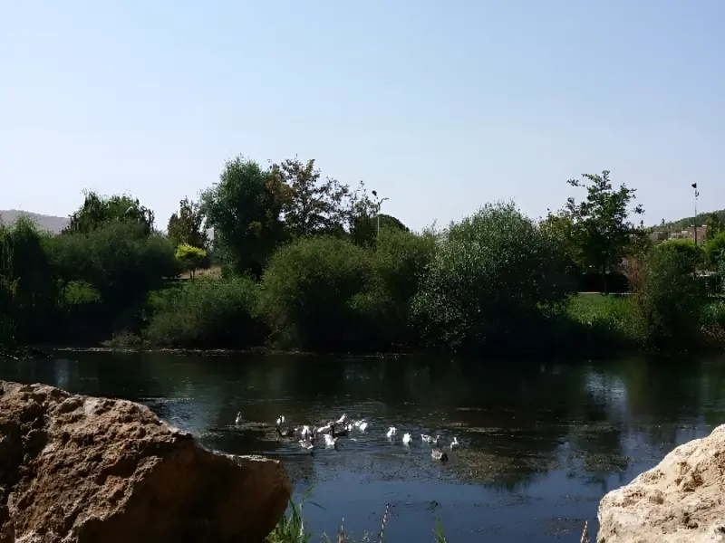 باغ میکاییل (پارک ملت مهاباد) - تصویر 11