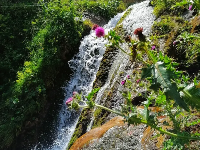 روستای دراسله - تصویر 4