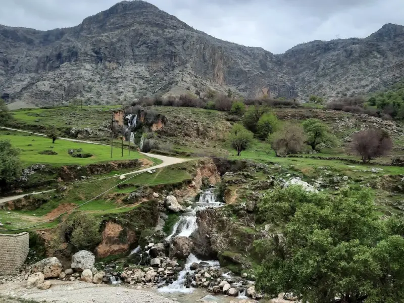 دشت سوسن - تصویر 4