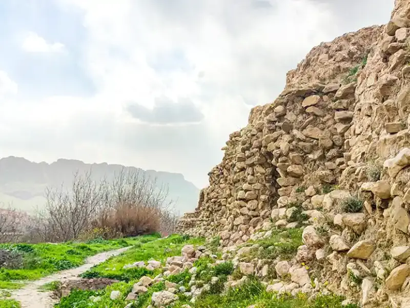 زیج منیژه - تصویر 1