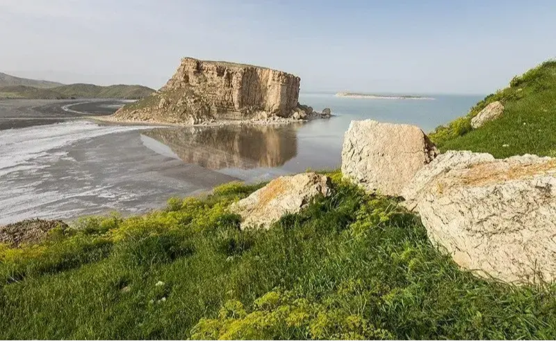 کاظم داشی - تصویر 5