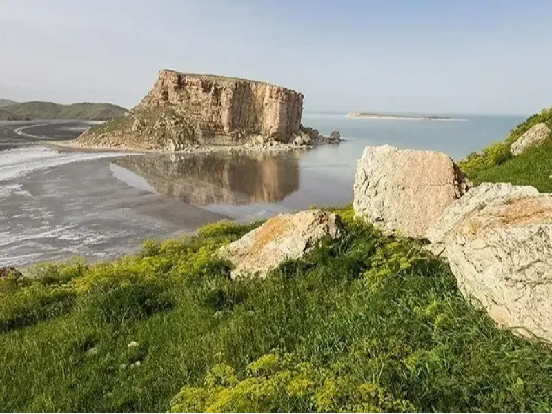 کاظم داشی - تصویر 5
