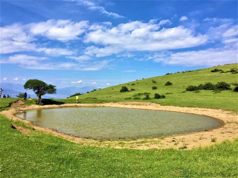 تالاب حله - تصویر 6