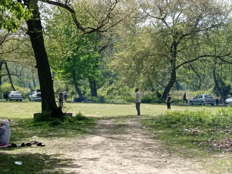 پارک جنگلی زاهدکلا - تصویر 1
