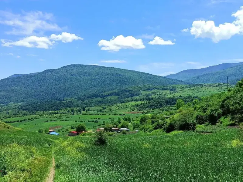 روستای اکرد
