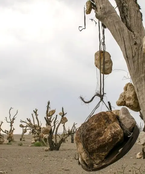 باغ سنگی سیرجان، کرمان
