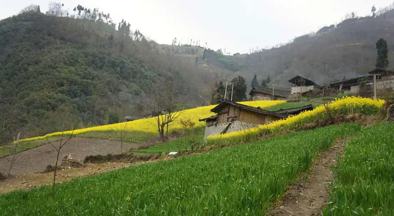 روستای زرگر - تصویر 3