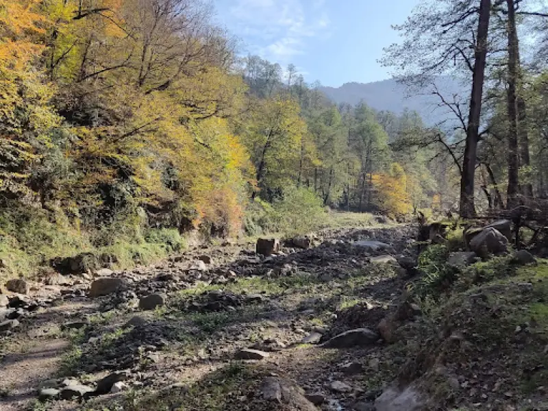 آبشار جلسنگ - تصویر 2