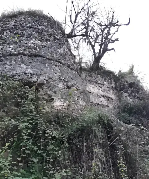 قلعه نرگسی، مازندران