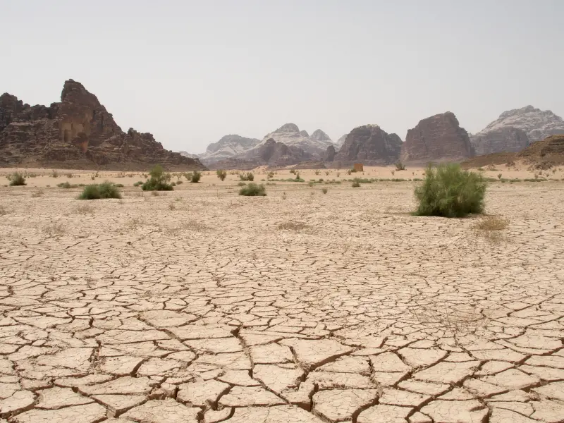دق پترگان