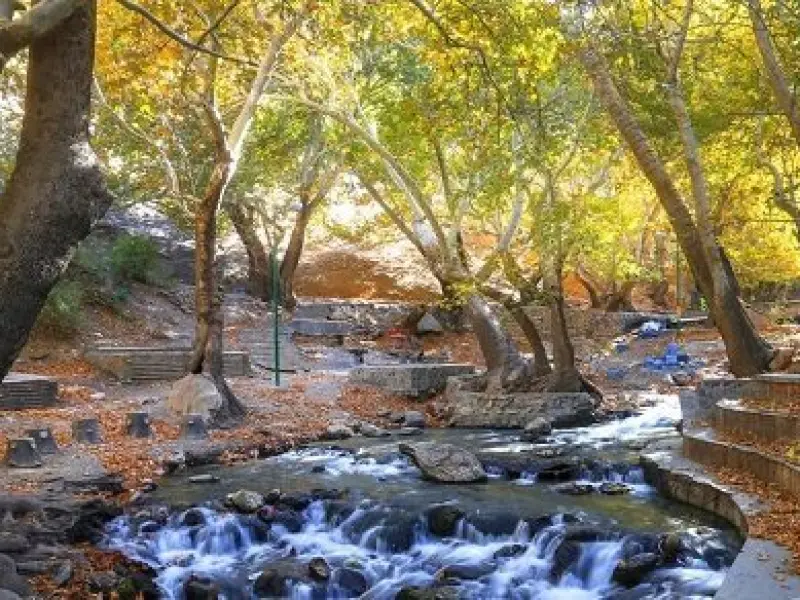 سراب گیان - تصویر 6