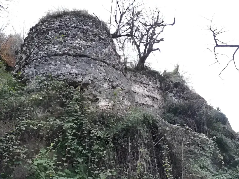 قلعه نرگسی