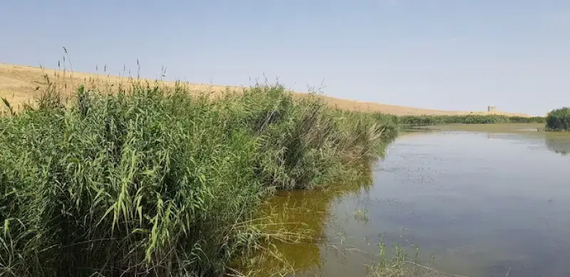 تالاب کانی برازان‎ - تصویر 9