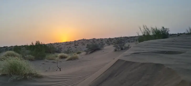 ریگزار چاه جام - تصویر 1