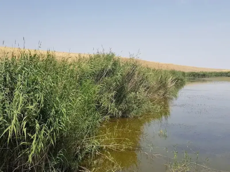 تالاب کانی برازان‎ - تصویر 9