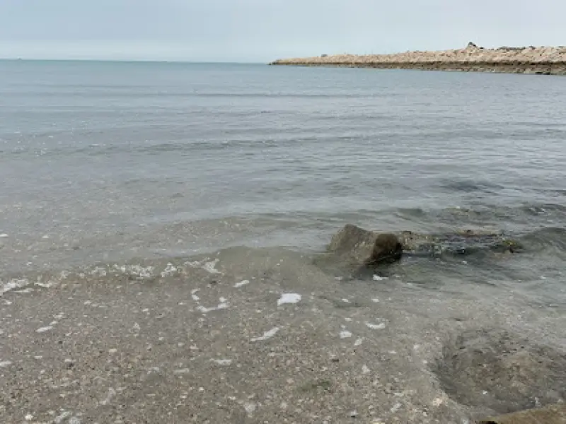جزیره عباسک - تصویر 1