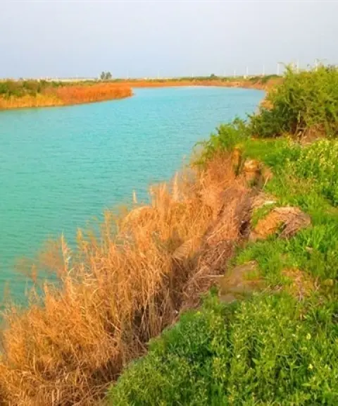 تالاب حله، بوشهر