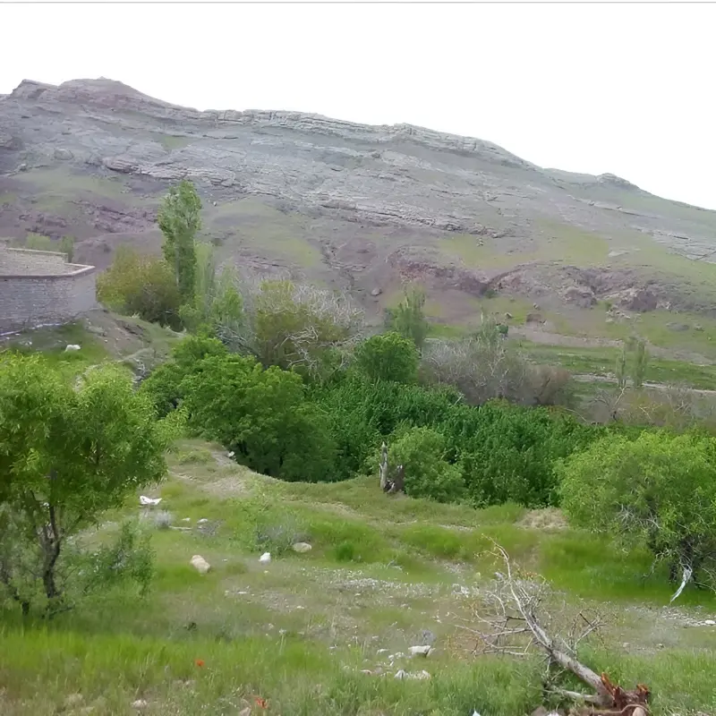 روستای وشنوه - تصویر 6