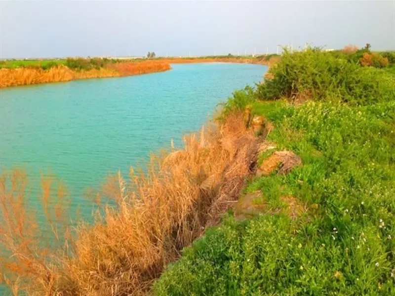 تالاب حله