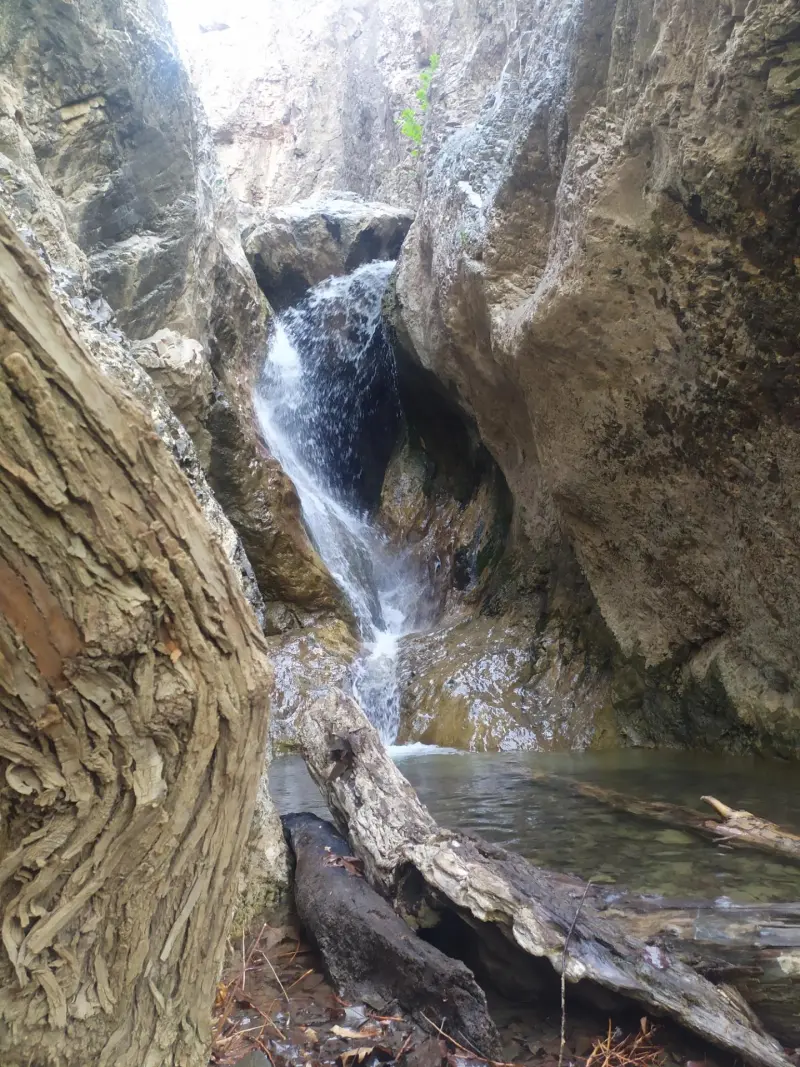 آبشار چنارستان بید‎ - تصویر 1