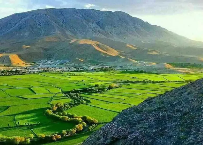 روستای ریشخوار - تصویر 2
