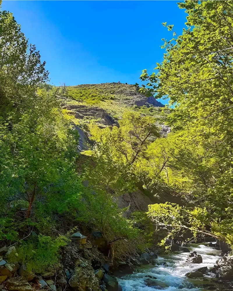 روستای کردینه - تصویر 4