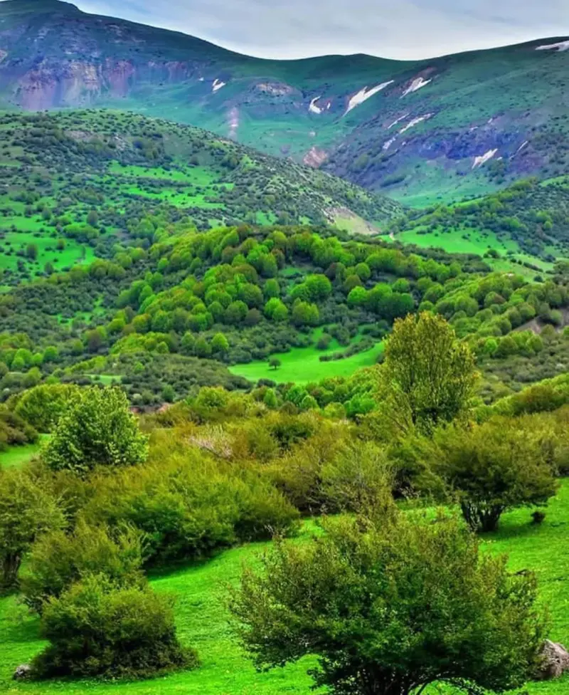 روستای داماش - تصویر 4