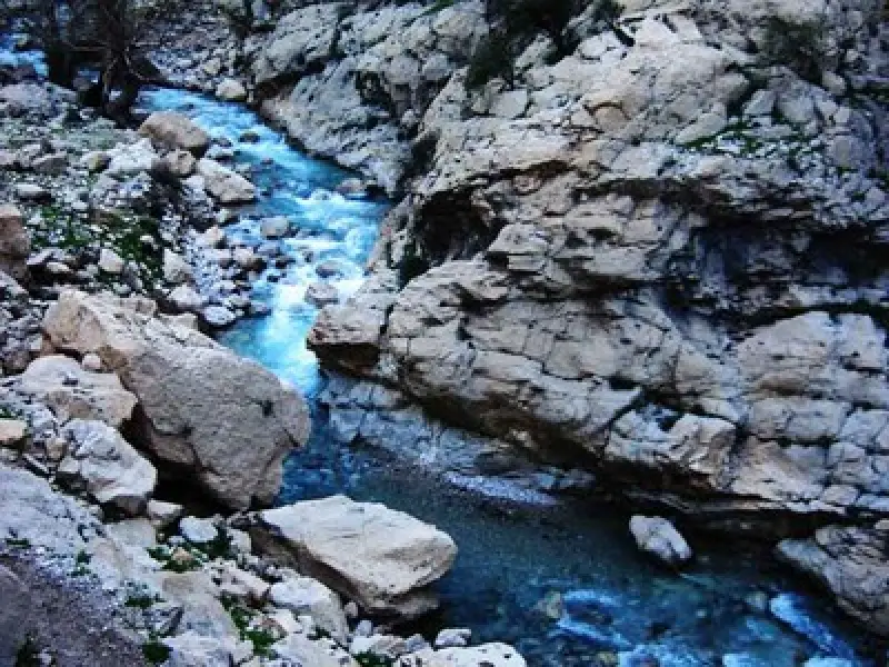 تنگ تهی - تصویر 1