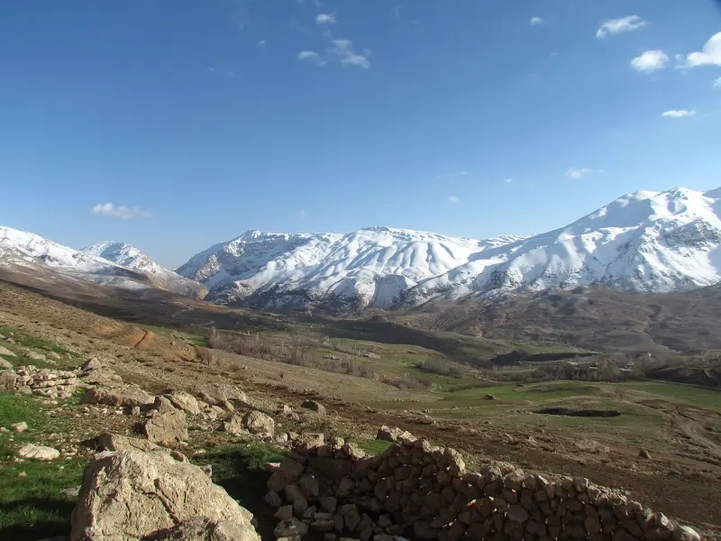 کوه زردکوه - تصویر 3