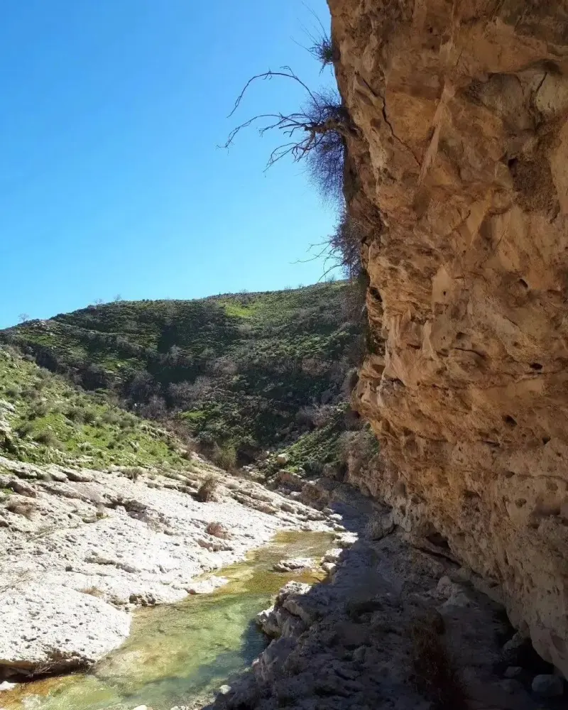 آبشار حکیم باشی - تصویر 8