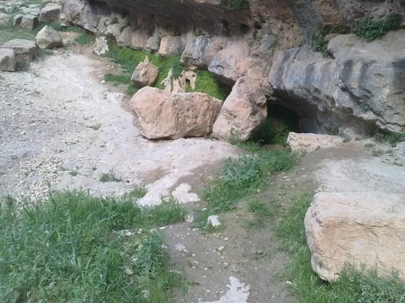 تنگ شمشه - تصویر 5