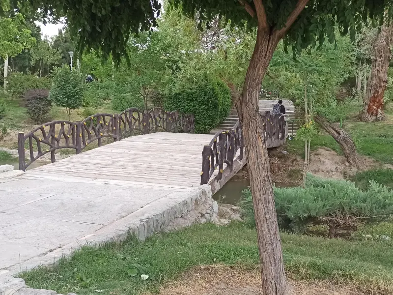 پارک جنگلی ناژوان - تصویر 2