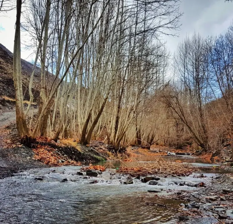 روستای جاغرق - تصویر 6