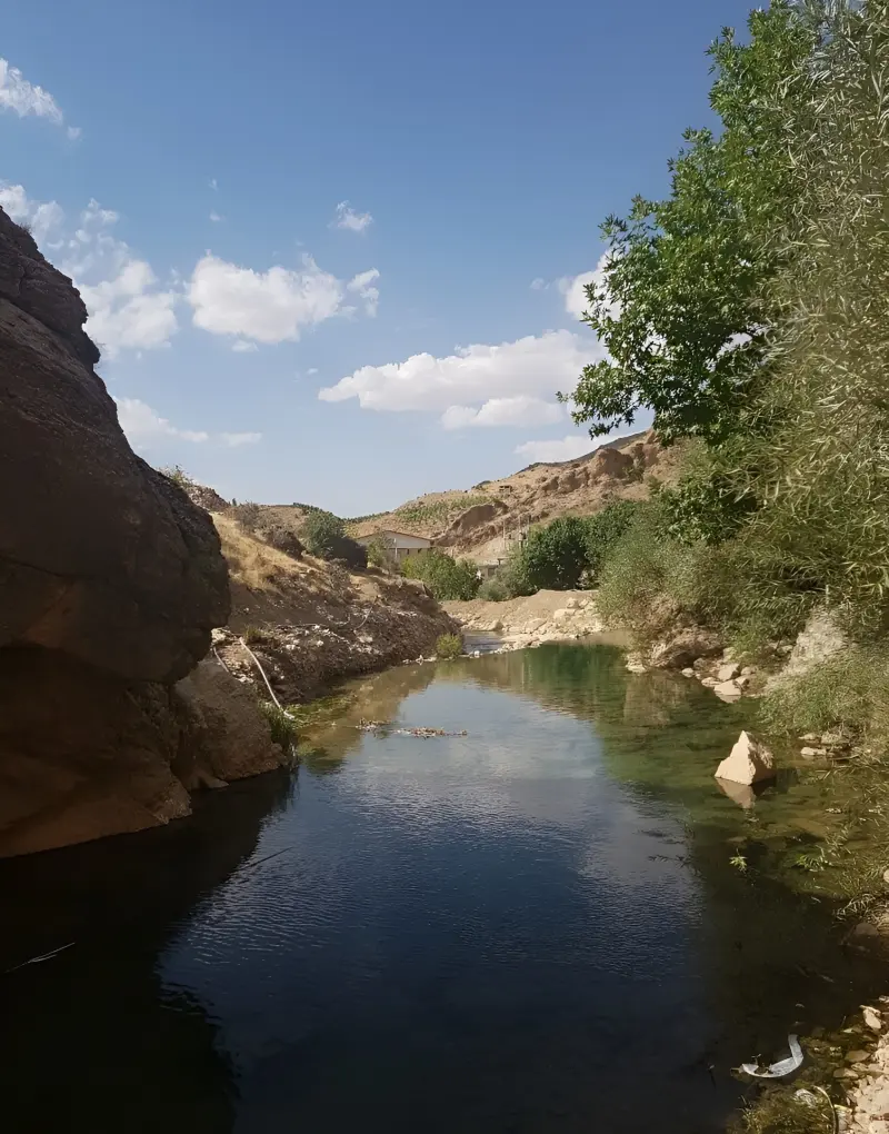 چشمه ناز ونک - تصویر 6
