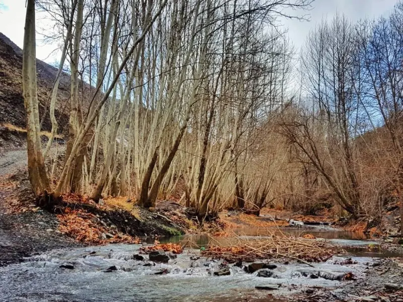 روستای جاغرق - تصویر 6