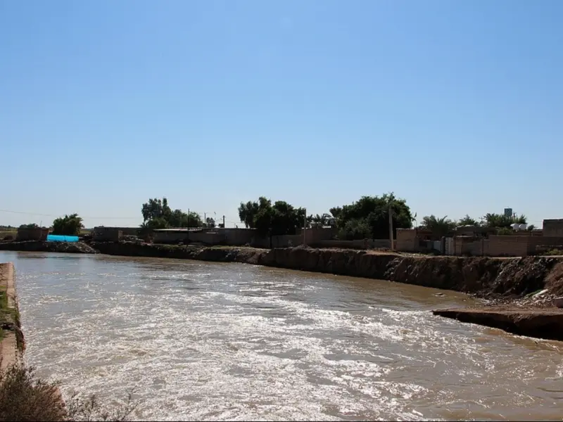 رودخانه شاوور