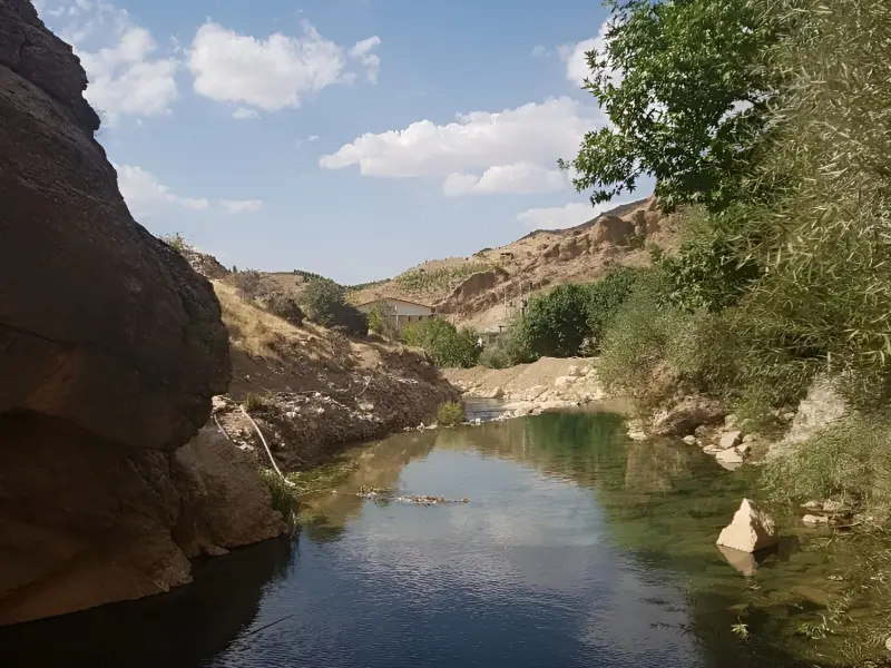 چشمه ناز ونک - تصویر 6