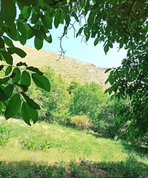 روستای زایگان، تهران