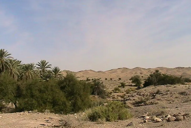 منطقه حفاظت‌شده هرمود - تصویر 3