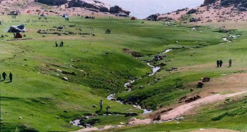 دشت میشان - تصویر 3