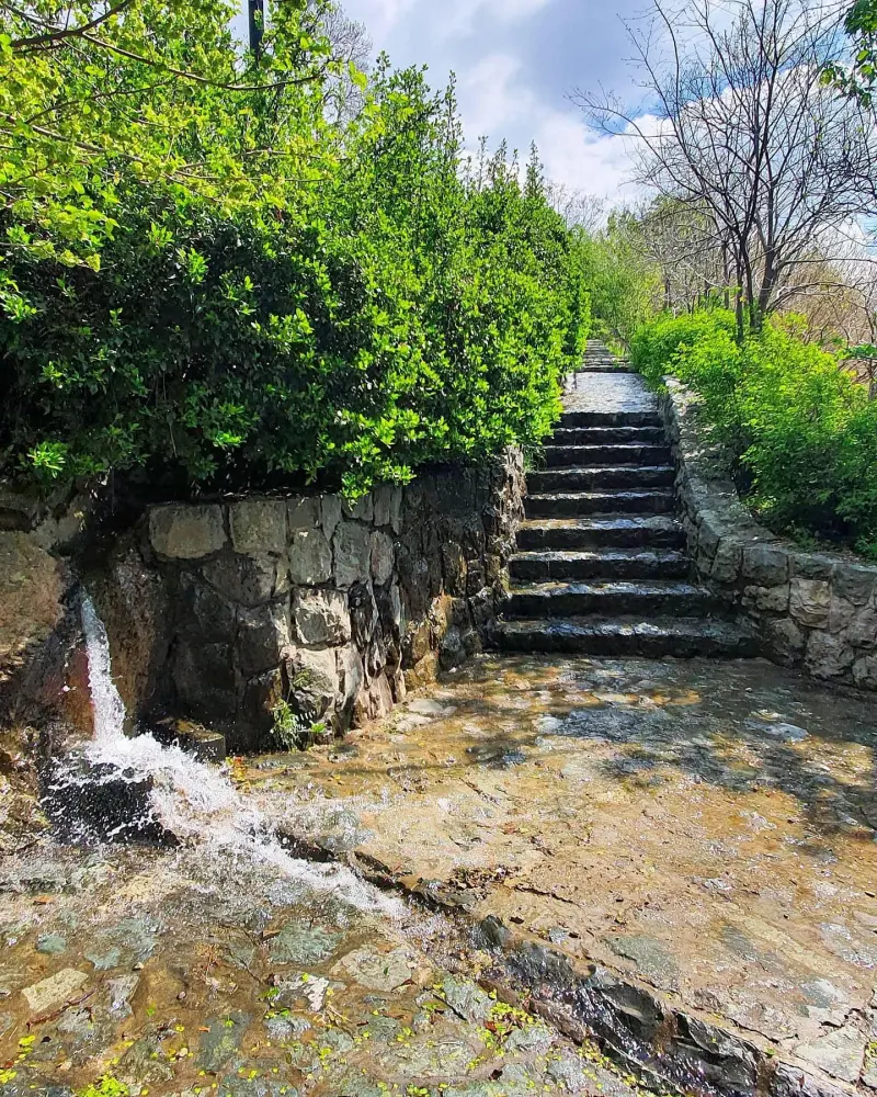 پارک جنگلی امام رضا - تصویر 5