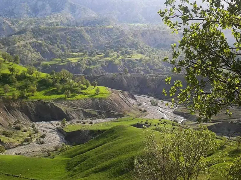 تفرجگاه جنگلی ششدار